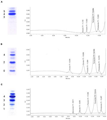 Treatment Options in Congenital Disorders of Glycosylation